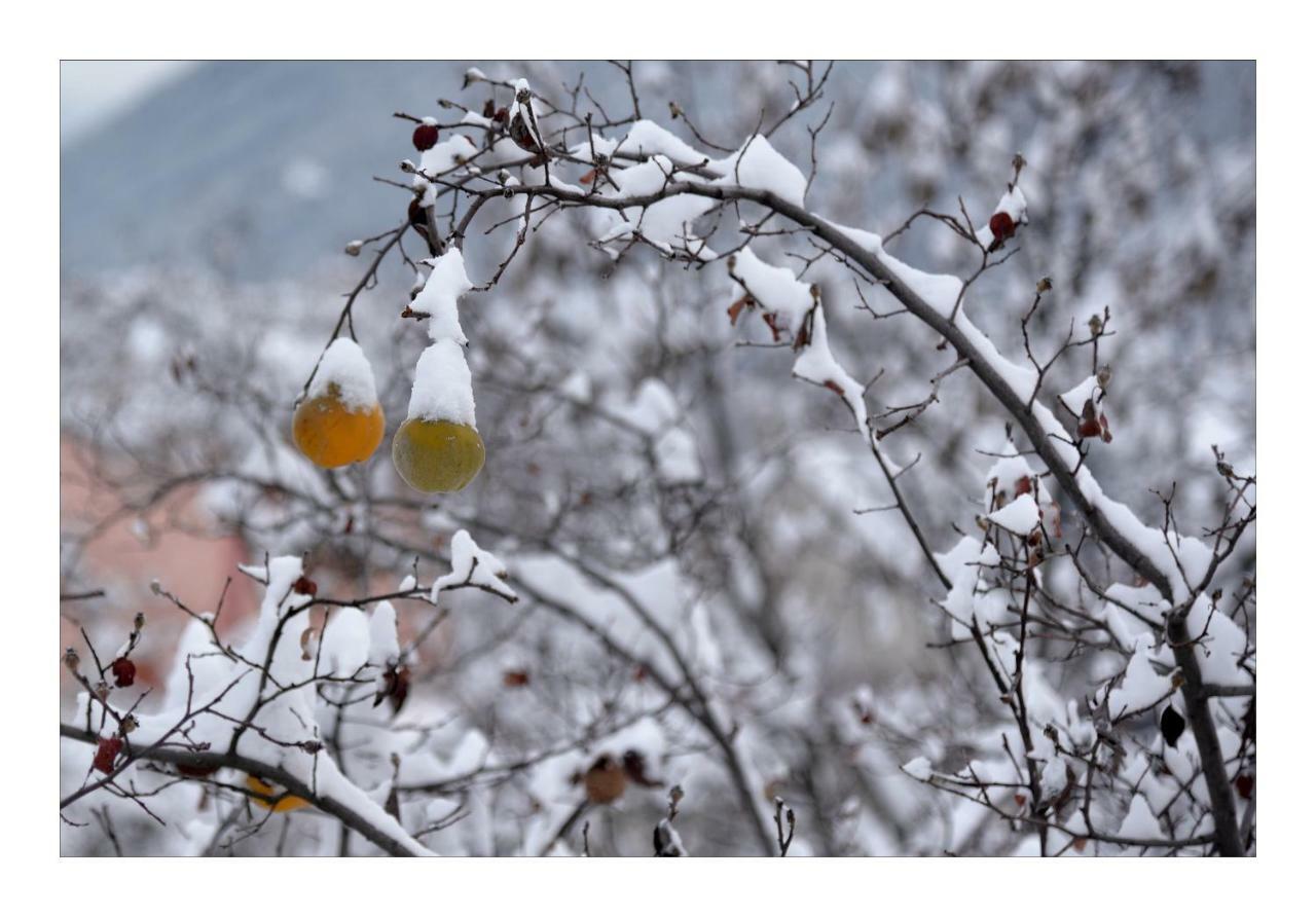 La Maison Abeil เอลาร์จองทิเอร์-ลา-เบสซี ภายนอก รูปภาพ