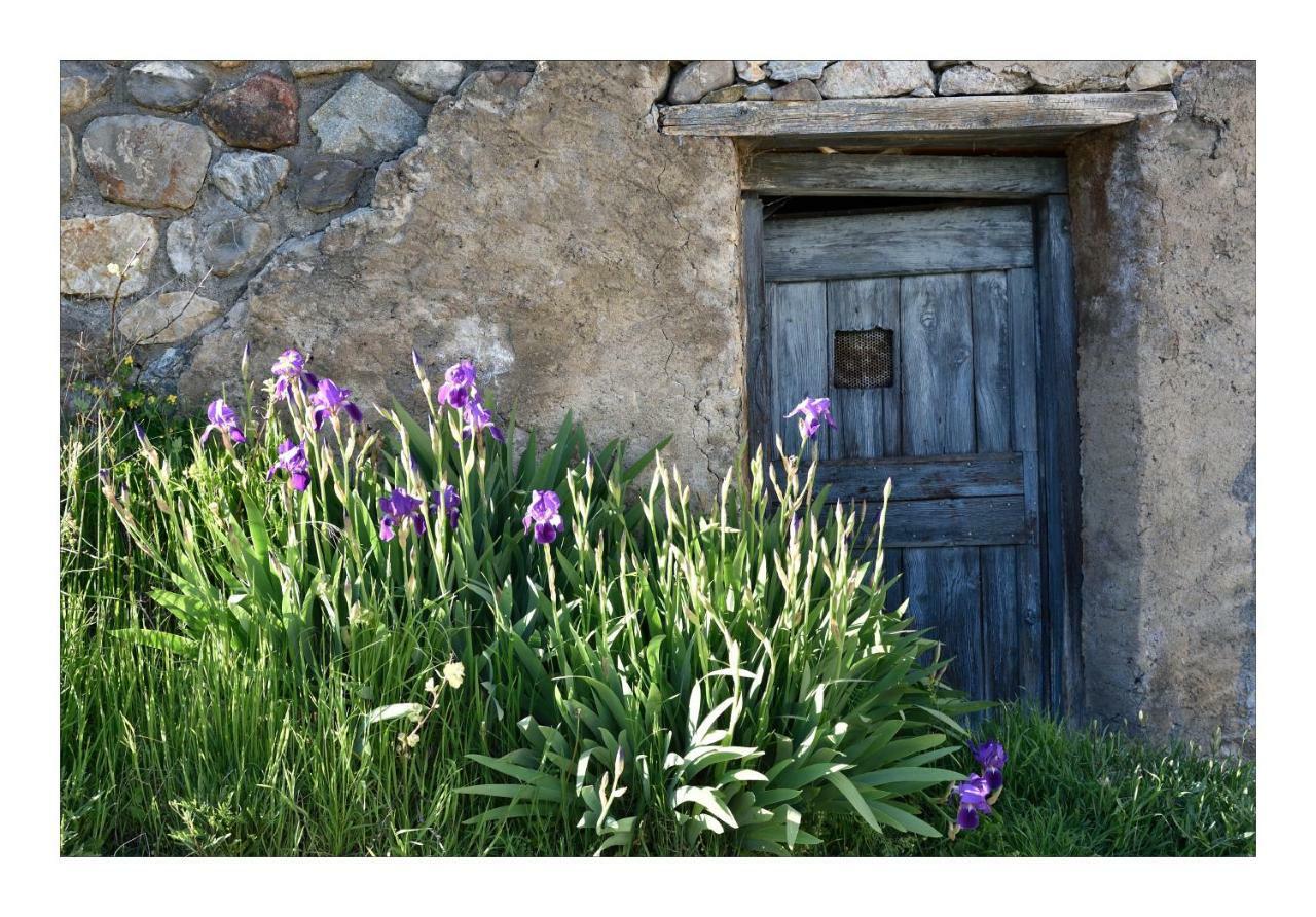 La Maison Abeil เอลาร์จองทิเอร์-ลา-เบสซี ภายนอก รูปภาพ